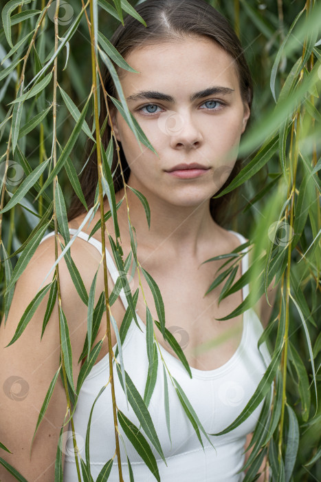Скачать Портрет молодой красивой женщины, позирующей в листве ивы фотосток Ozero