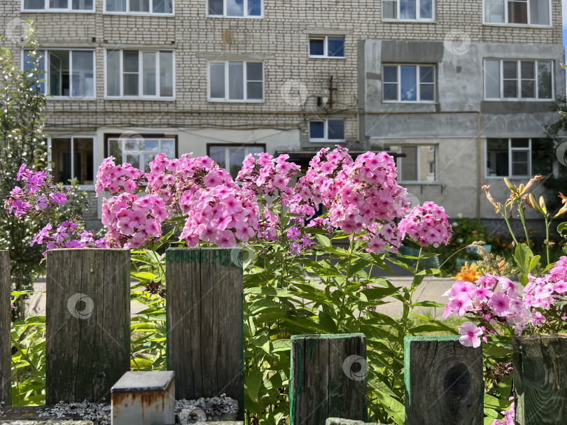 Скачать Старый дворик фотосток Ozero