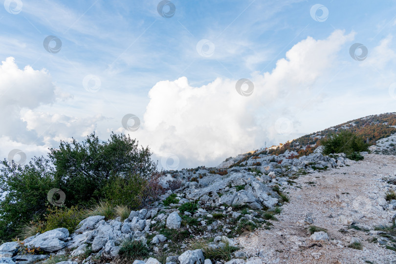 Скачать Панорама с горы Монтенегро Ловчен, смотровая площадка на вершине Которской канатной дороги фотосток Ozero