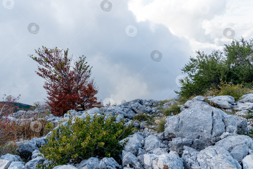 Скачать Панорама с горы Монтенегро Ловчен, смотровая площадка на вершине Которской канатной дороги фотосток Ozero
