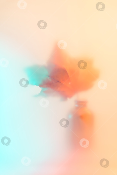 Скачать Абстрактные рисунки в виде кленовых листьев в ярких бирюзовых и оранжевых тонах, градиенты с мягким фокусом создают воздушную, мечтательную композицию, идеально подходящую в качестве спокойного современного фона или обоев фотосток Ozero
