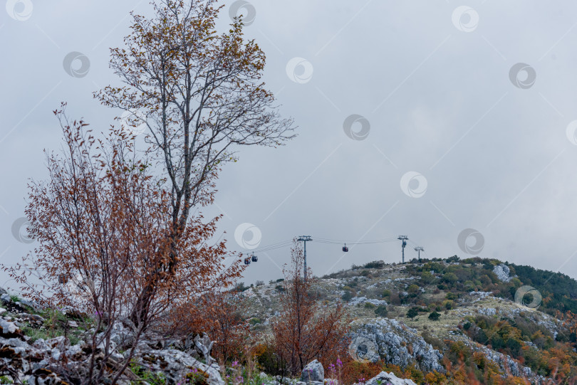 Скачать Вид на пейзаж с гондольной канатной дороги, ведущей на гору Ловчен, город Котор, Черногория фотосток Ozero