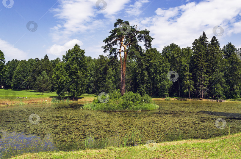 Скачать Пейзаж с  фотосток Ozero