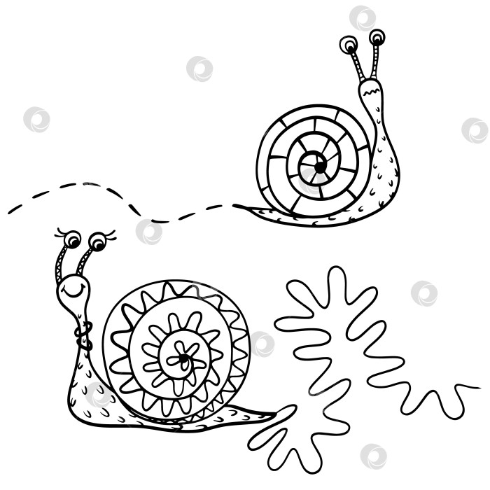 Скачать улитки фотосток Ozero