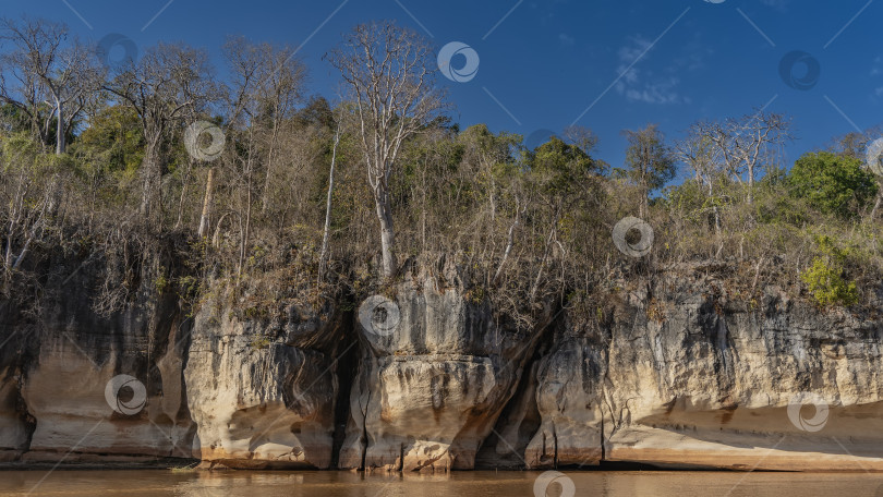 Скачать Экзотическая африканская красно-коричневая река. На крутых, выветренных известняковых берегах растут деревья фотосток Ozero