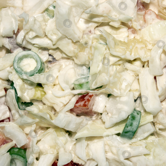 Скачать Салат из свежей капусты с луком и помидорами.Диетический овощной салат.Капуста под майонезом.Салат из белокочанной капусты. фотосток Ozero