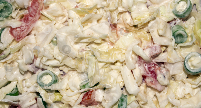Скачать Салат из свежей капусты с луком и помидорами.Диетический овощной салат.Капуста под майонезом.Салат из белокочанной капусты. фотосток Ozero
