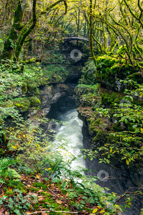 Скачать Бурный поток воды. Лесной водопад, каньон Гачедили фотосток Ozero