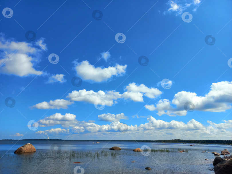 Скачать Белые облака над Финским заливом фотосток Ozero