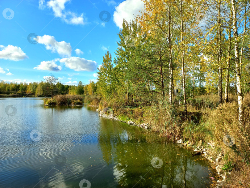 Скачать Вид на озеро в Ленинградской области. Осенний пейзаж. фотосток Ozero