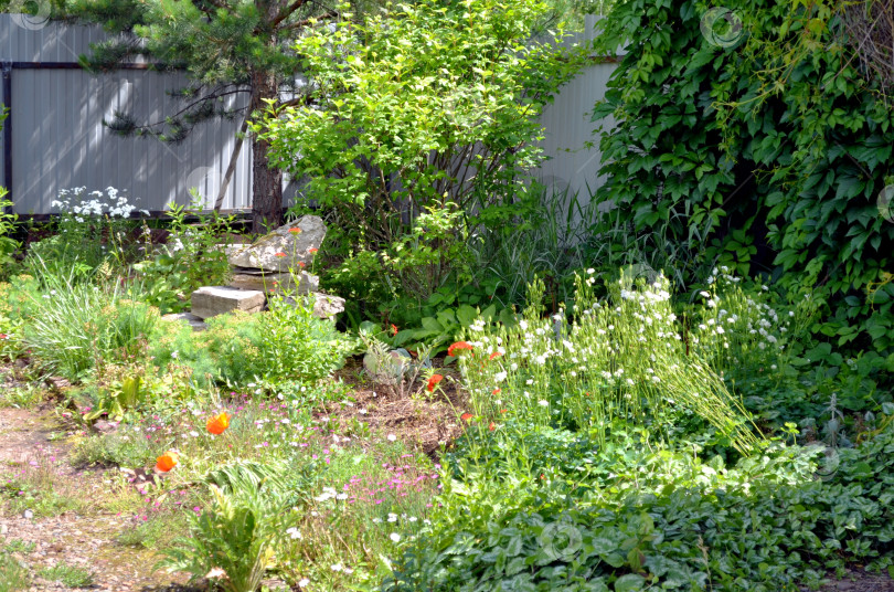 Скачать цветник в пейзажном стиле фотосток Ozero