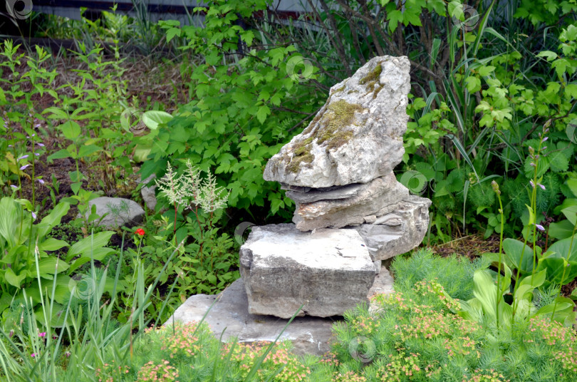 Скачать Камень в оформлении цветника фотосток Ozero