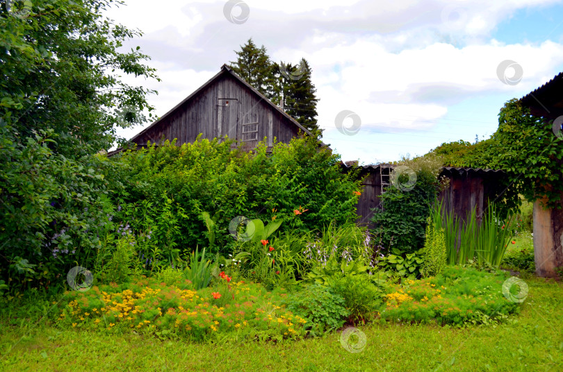 Скачать цветник на даче фотосток Ozero