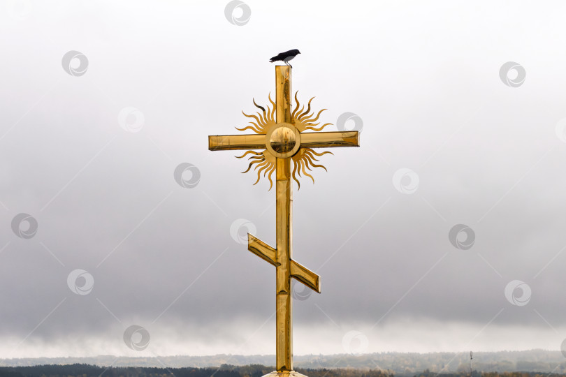 Скачать Крупный план золотого православного креста с солнцем-лучами на куполе храма Нило-Столбенского монастыря (Нилова пустынь). Черная ворона сидит на вершине креста на фоне пасмурного неба. фотосток Ozero