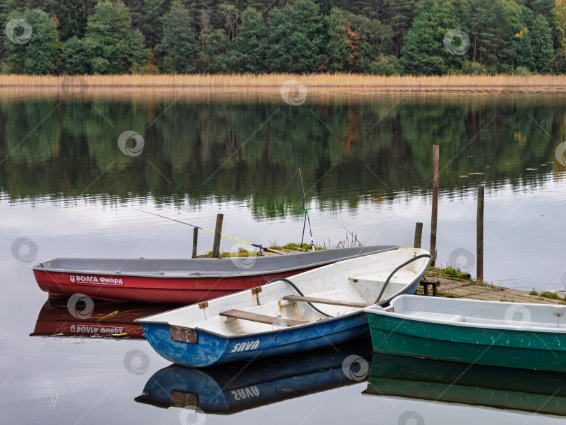Скачать Три разноцветные лодки пришвартованы к деревянному пирсу на озере Селигер. Осенний природный пейзаж с рыболовными снастями и отражением леса в спокойной воде. фотосток Ozero