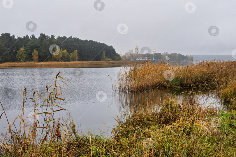 Скачать Панорамный вид на озеро Селигер. В туманной дымке вдали виден Нило-Столбенский монастырь (Нилова пустынь). Осенний пейзаж с зарослями камыша на переднем плане. фотосток Ozero