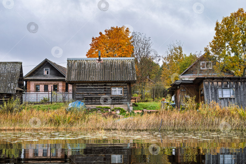 Скачать Панорамный вид на старые деревянные деревенские дома и баню на берегу озера Селигер. Осенний пейзаж с яркой оранжевой кроной и водной гладью, покрытой ряской. фотосток Ozero