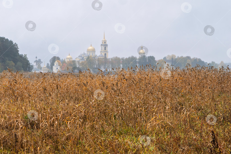 Скачать Панорамный осенний пейзаж на озере Селигер. Нило-Столбенский монастырь (Нилова пустынь) виден сквозь заросли сухого камыша. Созерцательная и спокойная атмосфера. фотосток Ozero