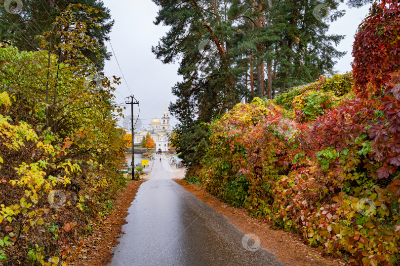 Скачать Спуск по мокрой асфальтированной дороге к Нило-Столбенскому монастырю (Нилова пустынь). Осенний пейзаж с яркой листвой и умиротворением. фотосток Ozero