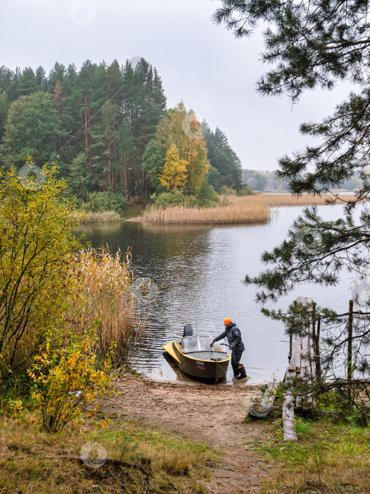 Скачать Вертикальный осенний пейзаж на озере Селигер. Рыбак в резиновых сапогах вытаскивает лодку на песчаный берег среди соснового леса. фотосток Ozero