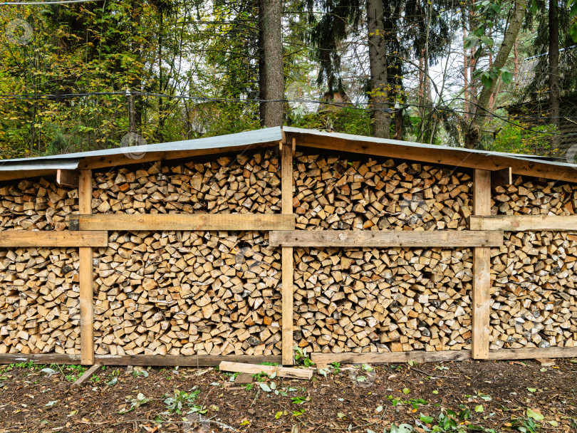 Скачать Крупный план аккуратно уложенного большого дровника с колотыми березовыми дровами в лесном массиве. Заготовка дров к зимнему периоду. фотосток Ozero