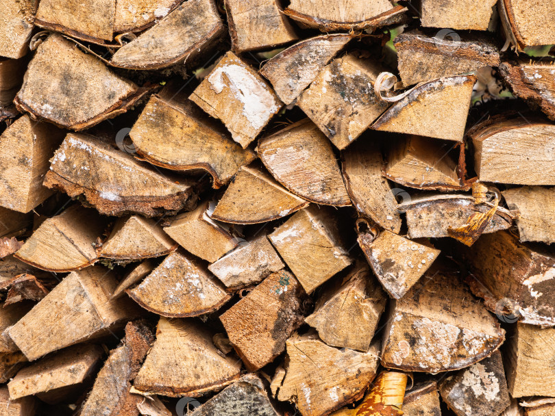 Скачать Макро-текстура плотно сложенных березовых поленьев. Крупный план колотых дров с кусочками коры и белой плесени для отопления. фотосток Ozero