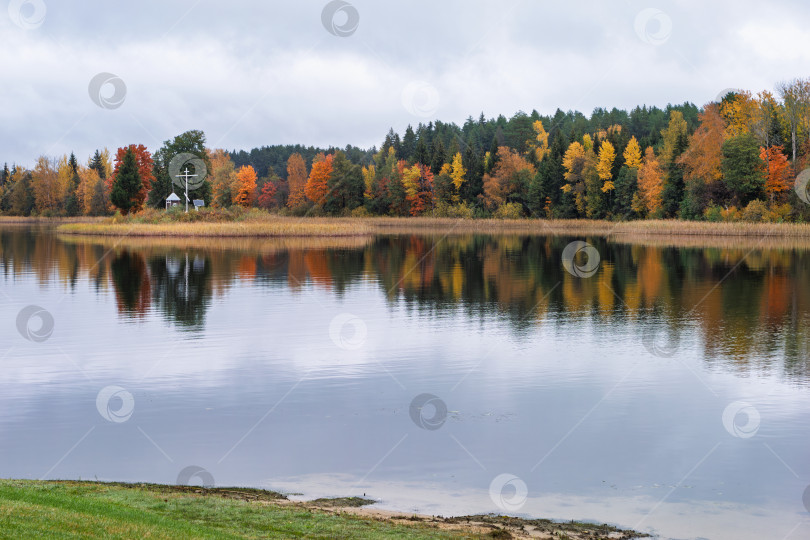 Скачать Живописный осенний пейзаж с часовней и крестом на островке озера Селигер напротив деревни Неприе. Золотистая листва леса отражается в водной глади. фотосток Ozero