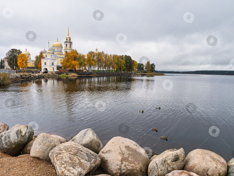 Скачать Панорамный вид Нило-Столбенского монастыря (Нилова пустынь) с озера Селигер. Колокольня и соборы на фоне золотой осенней листвы и прибрежных валунов. фотосток Ozero