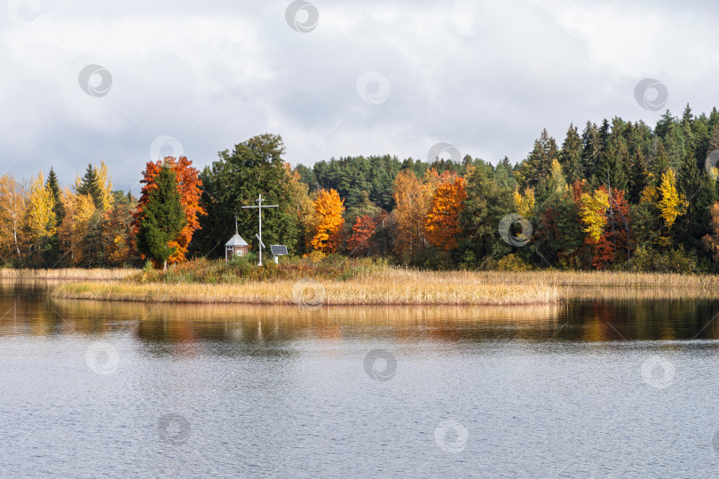 Скачать Живописный осенний пейзаж с часовней и крестом на островке озера Селигер напротив деревни Неприе. Золотистая листва леса отражается в водной глади. фотосток Ozero