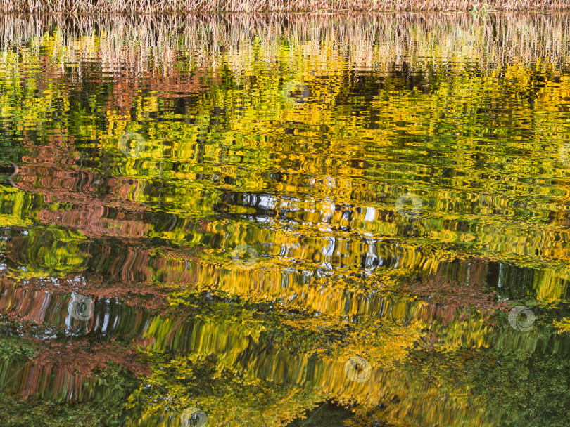 Скачать Живописное отражение осенней листвы в рябящей воде. Абстрактный водный пейзаж на озере Селигер. фотосток Ozero