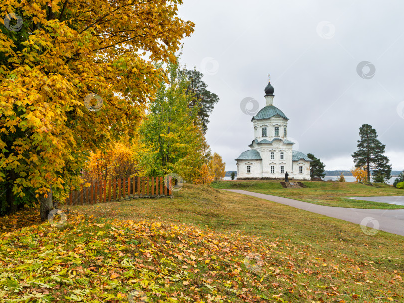 Скачать Живописный осенний пейзаж с Крестовоздвиженской церковью Нило-Столбенского монастыря (Нилова пустынь). Белокаменное здание на фоне пышной золотой листвы деревьев на берегу озера Селигер. фотосток Ozero
