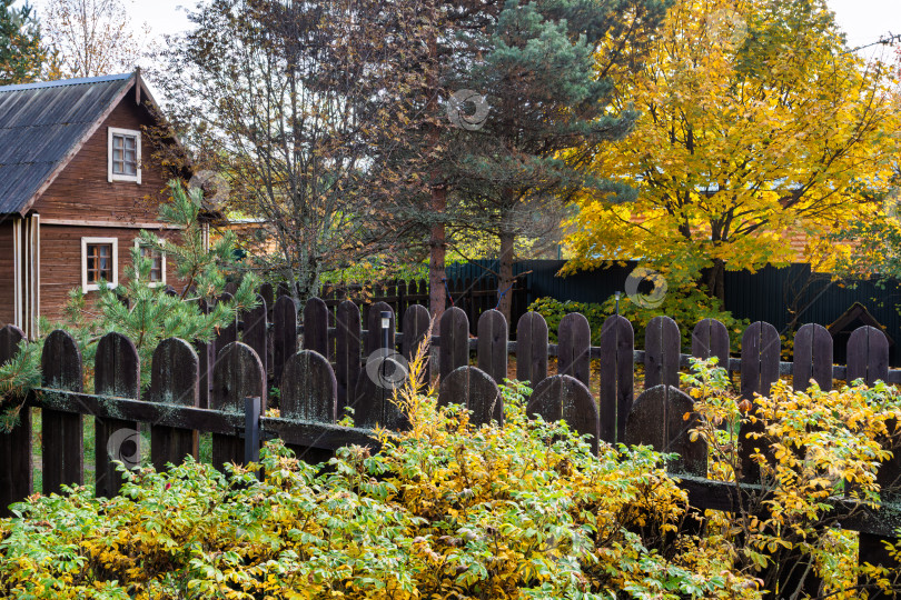 Скачать Деревянный дом за забором и яркая осенняя листва. Сельский пейзаж в тверской области. фотосток Ozero