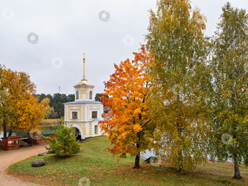 Скачать Светлицкая башня Нило-Столбенского монастыря с золотым шпилем на фоне пасмурного неба. Яркие осенние березы и клен на зеленой лужайке у озера Селигер. фотосток Ozero