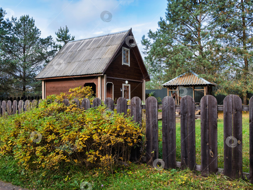 Скачать Деревянный дом за забором и живописный куст шиповника. Сельский осенний пейзаж в тверской области. фотосток Ozero
