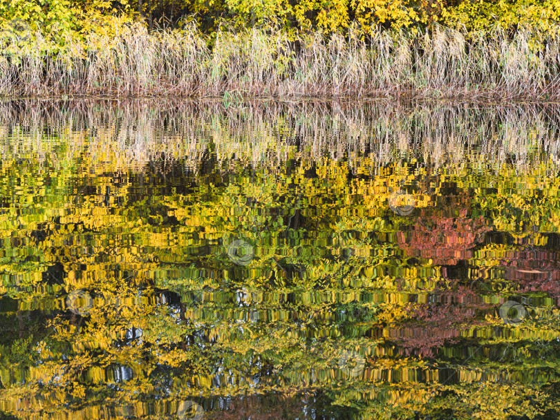 Скачать Абстрактный узор отражения осеннего берега в рябящей воде озера Селигер. Водная гладь демонстрирует сильную рябь, которая деформирует и размывает контуры, превращая отражение в насыщенный и живописный абстрактный узор с преобладанием желтых и зеленых оттенков. фотосток Ozero