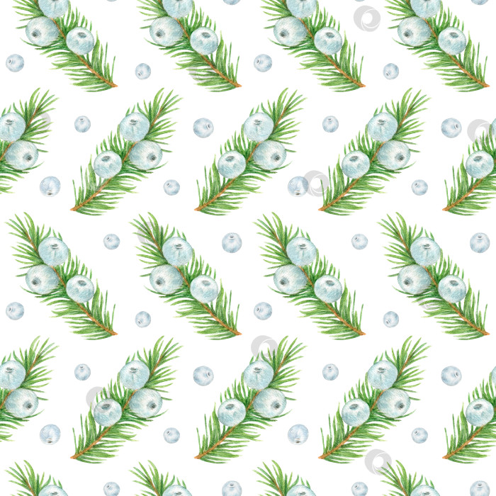 Скачать Сосновые ветки с ягодами, бесшовный акварельный узор. Рождественский фон с вечнозеленым растением фотосток Ozero