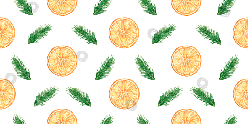 Скачать Рождественские вечнозеленые еловые ветки и дольки апельсина. Бесшовный акварельный узор. фотосток Ozero