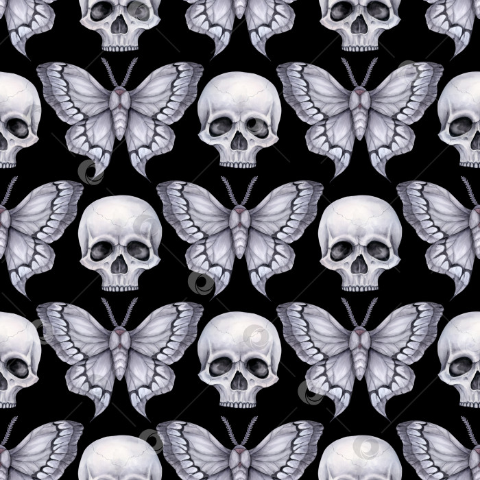 Скачать Бесшовный узор с черепами и ночными бабочками в серых тонах на черном фоне. фотосток Ozero