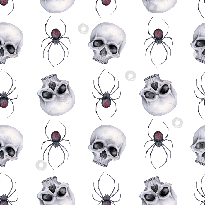 Скачать Бесшовный узор с серыми человеческими черепами и ядовитыми краснобрюхими пауками. фотосток Ozero