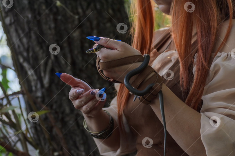 Скачать Рыжеволосая девушка держит в руках маленькую змею в лесу фотосток Ozero