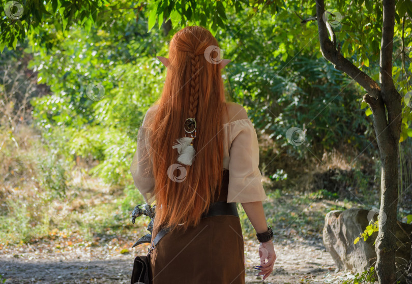 Скачать Девушка-эльф в лесу, вид со спины фотосток Ozero