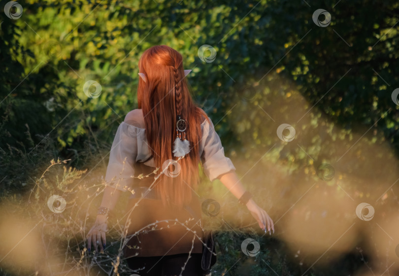 Скачать Девушка-эльф в лесу, вид со спины фотосток Ozero