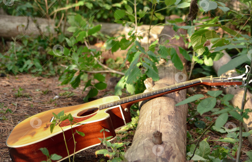 Скачать Акустическая гитара на бревне в лесу фотосток Ozero