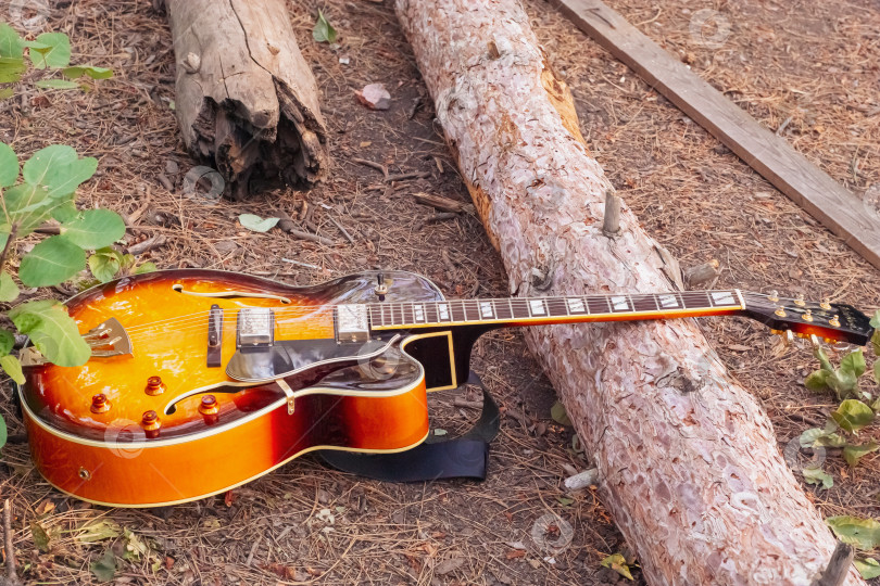 Скачать Акустическая гитара на бревне в лесу фотосток Ozero