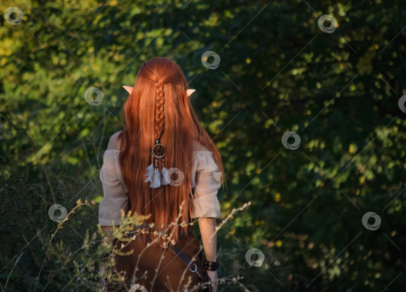 Скачать Девушка-эльф в лесу, вид со спины фотосток Ozero