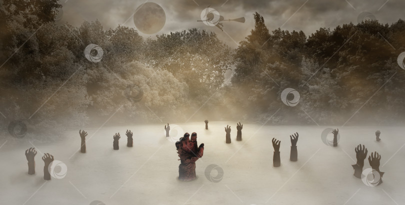 Скачать Руки зомби на болоте среди леса и тумана. фотосток Ozero