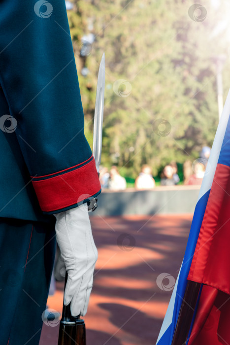 Скачать Почетный караул на службе в России.  Винтовка со штык-ножом в руке. фотосток Ozero