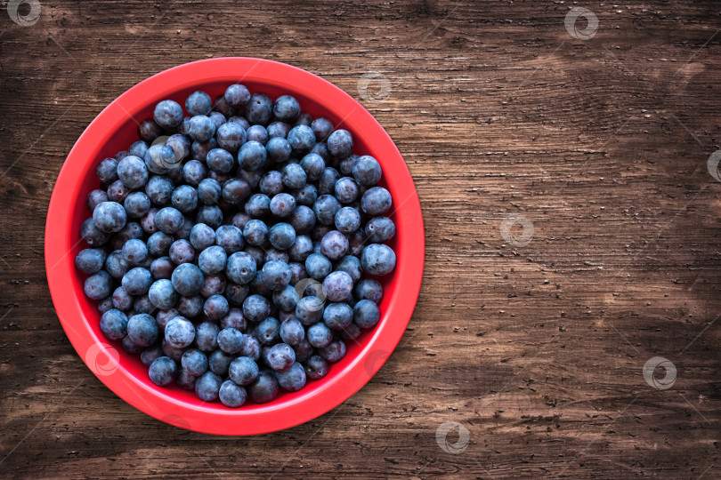Скачать Голубая слива в красной миске на деревянном столе. фотосток Ozero