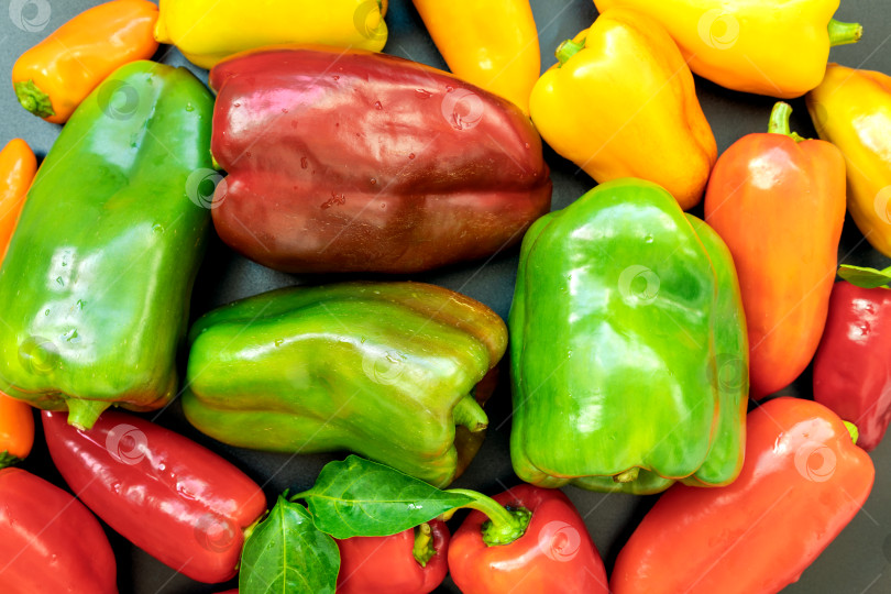 Скачать Красный, зеленый и желтый свежевымытый болгарский перец. фотосток Ozero