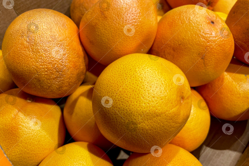 Скачать Апельсины в корзине в продуктовом магазине, фрукты и овощи продаются на рынке фотосток Ozero